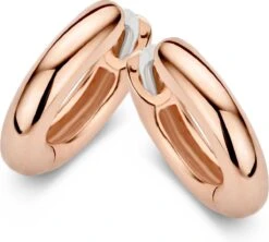 TI SENTO - Milano Ti Sento Oorbellen Verguld 19 TI SENTO - Milano Ti Sento Oorbellen Verguld -Liora Luxe Winkel 1200x1080 5