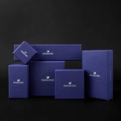 Swarovski Oorbellen Matrix 5647715 -Liora Luxe Winkel 1200x1200 224