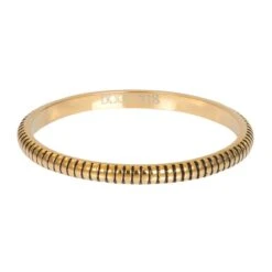 IXXXi Invulring Karma R06604 (2MM)