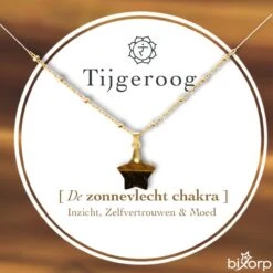 Bixorp Gems Tijgeroog Zonnevlecht Chakra Ketting Met Sterretje - 18 Karaat Verguld Goud & Roestvrij Staal - 36cm + 8cm Verstelbaar