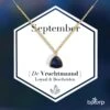 Bixorp Gems Geboortesteen Ketting September - Saffier - Zirkona Hanger Aan Goudkleurige Ketting - 45 + 5cm - Cadeau Voor Vrouwen -Liora Luxe Winkel 1200x1200 280