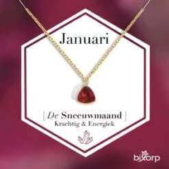 Bixorp Gems Geboortesteen Ketting Januari - Granaat - Zirkona Hanger Aan Goudkleurige Ketting - 45 + 5cm - Cadeau Voor Vrouwen