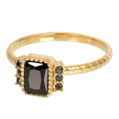 IXXXi Invulring Miracle R06610 (2MM)