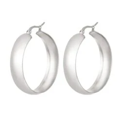 Oorbellen Stainless Steel Chique