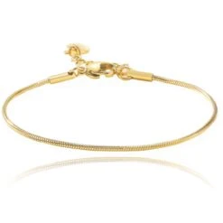 Stijlvolle Goudkleurige Verstelbare Smalle Damesarmband