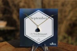 Bixorp Gems Geboortesteen Ketting September - Saffier - Zirkona Hanger Aan Goudkleurige Ketting - 45 + 5cm - Cadeau Voor Vrouwen -Liora Luxe Winkel 1200x800 21