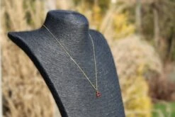 Bixorp Gems Geboortesteen Ketting Januari - Granaat - Zirkona Hanger Aan Goudkleurige Ketting - 45 + 5cm - Cadeau Voor Vrouwen -Liora Luxe Winkel 1200x800 24