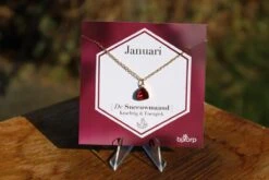Bixorp Gems Geboortesteen Ketting Januari - Granaat - Zirkona Hanger Aan Goudkleurige Ketting - 45 + 5cm - Cadeau Voor Vrouwen -Liora Luxe Winkel 1200x800 25