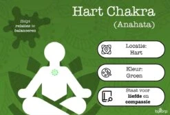 Bixorp Gems Ruwe Smaragd Hart Chakra Ketting - 18 Karaat Verguld Goud & Roestvrij Staal - 36cm + 8cm Verstelbaar 15 Bixorp Gems Ruwe Smaragd Hart Chakra Ketting - 18 Karaat Verguld Goud & Roestvrij Staal - 36cm + 8cm Verstelbaar -Liora Luxe Winkel 1200x817