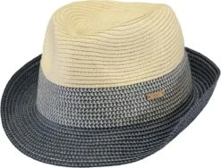 Barts Patrol Hat Blauw Heren Hoed - Maat One Size