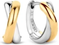 TI SENTO - Milano Oorbellen 7667SY -Liora Luxe Winkel 1200x930 2