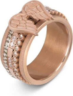IXXXi Invulring Wings R06600 (2MM) 7 IXXXi Invulring Wings R06600 (2MM) -Liora Luxe Winkel 919x1200 2